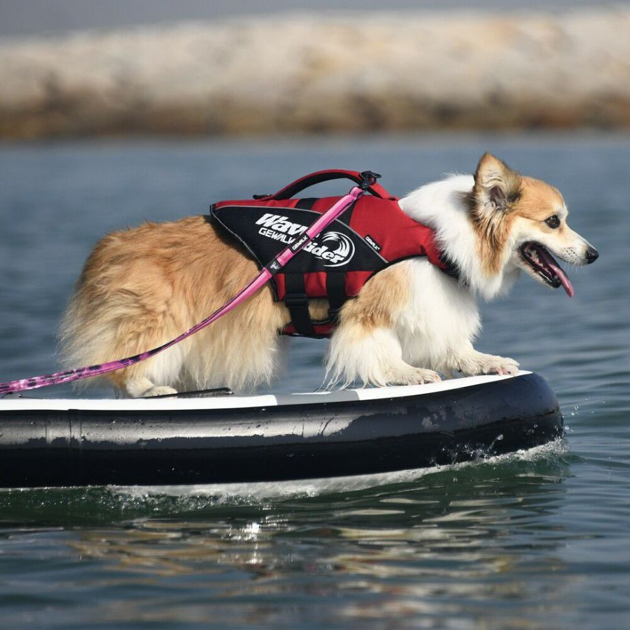 ウェーブライダー エコ ライフジャケット 犬用　 【Mサイズ】  犬  GEWALK    ライフジャケット