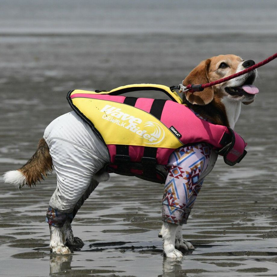 ウェーブライダー エコ ライフジャケット 犬用　 【Mサイズ】  犬  GEWALK    ライフジャケット