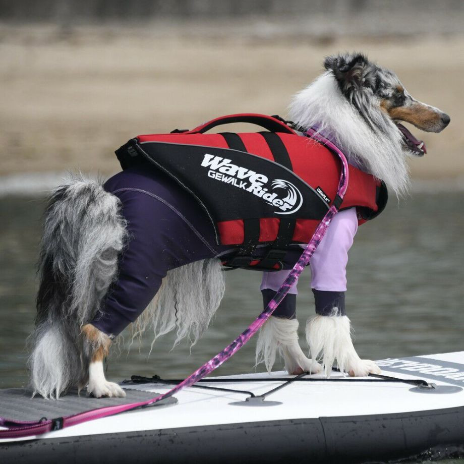 ウェーブライダー エコ ライフジャケット 犬用　 【Lサイズ】  犬  GEWALK    ライフジャケット