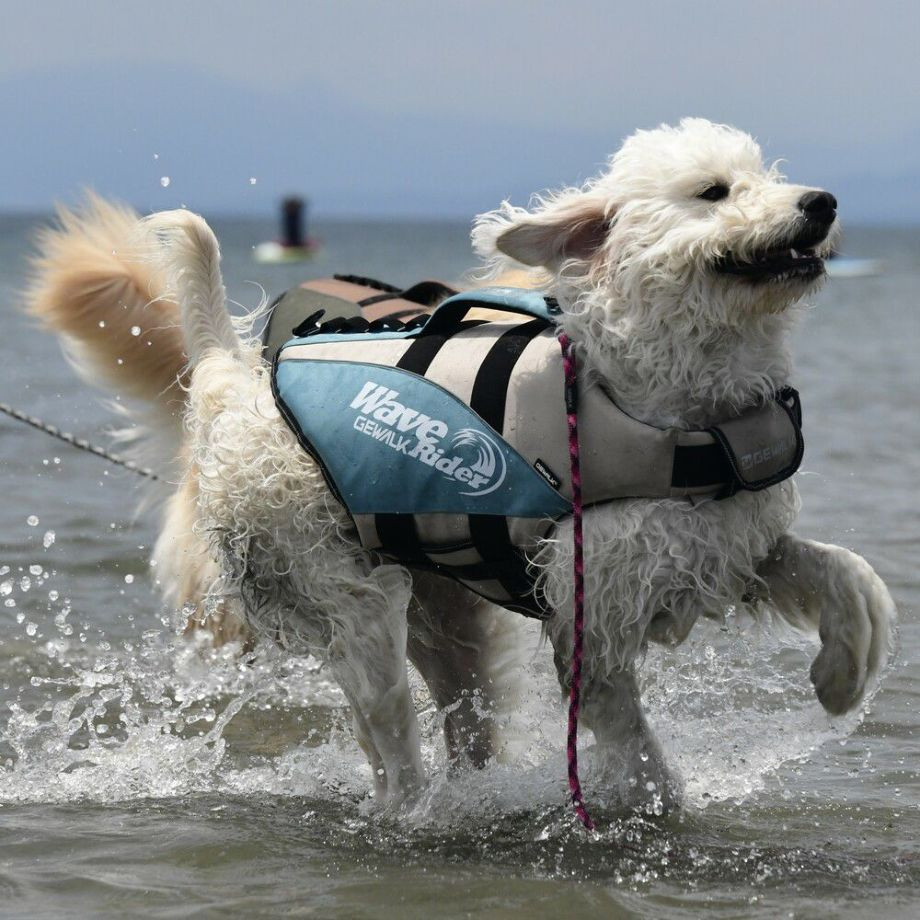 ウェーブライダー エコ ライフジャケット 犬用　 【XLサイズ】  犬  GEWALK    ライフジャケット