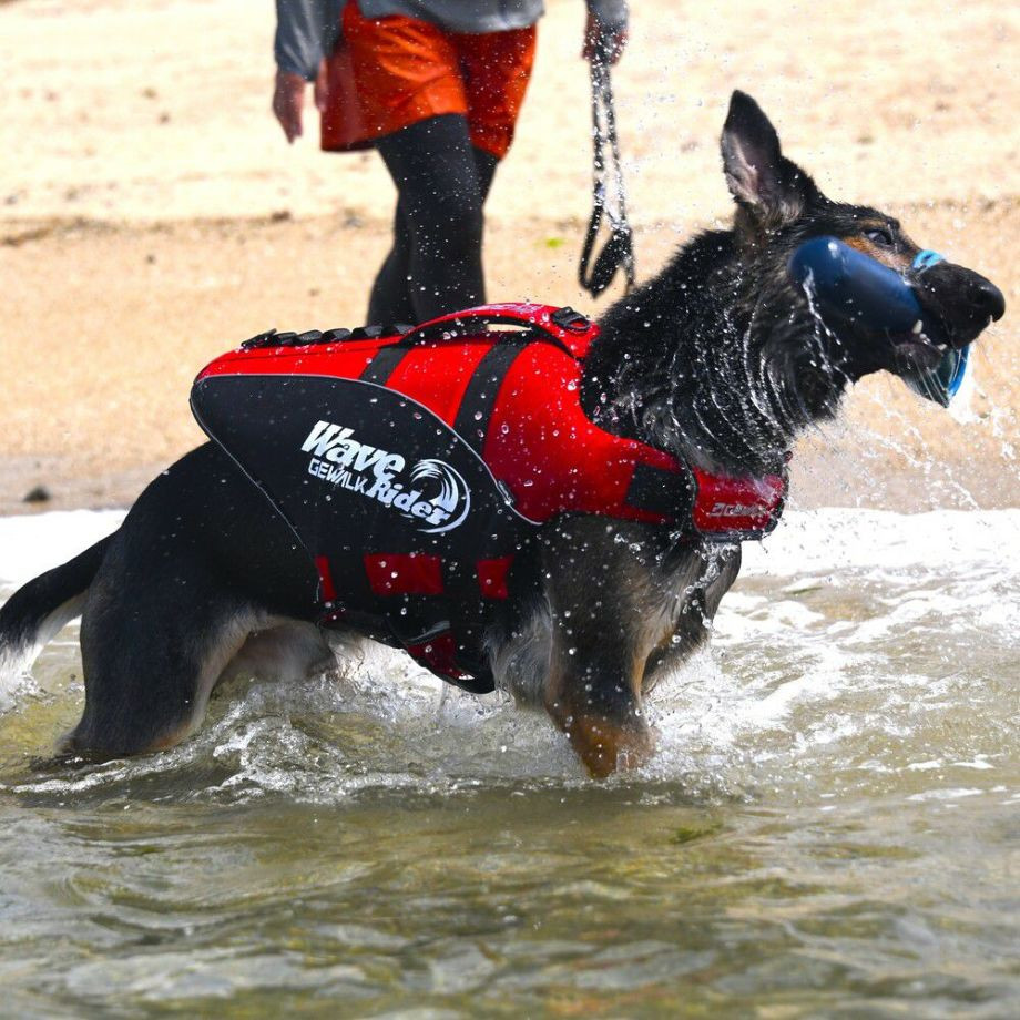 ウェーブライダー エコ ライフジャケット 犬用　 【2XLサイズ】  犬  GEWALK    ライフジャケット