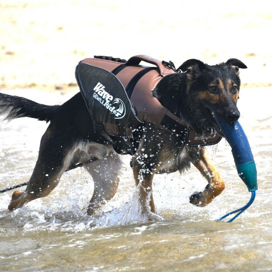 ウェーブライダー エコ ライフジャケット 犬用　 【2XLサイズ】  犬  GEWALK    ライフジャケット