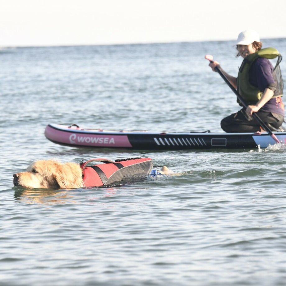 ウェーブライダー エコ ライフジャケット 犬用　 【3XLサイズ】  犬  GEWALK    ライフジャケット