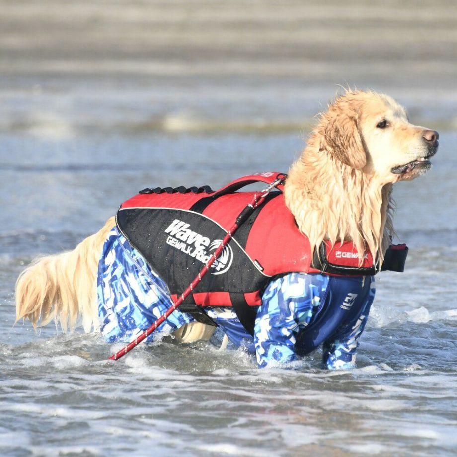 ウェーブライダー エコ ライフジャケット 犬用　 【3XLサイズ】  犬  GEWALK    ライフジャケット