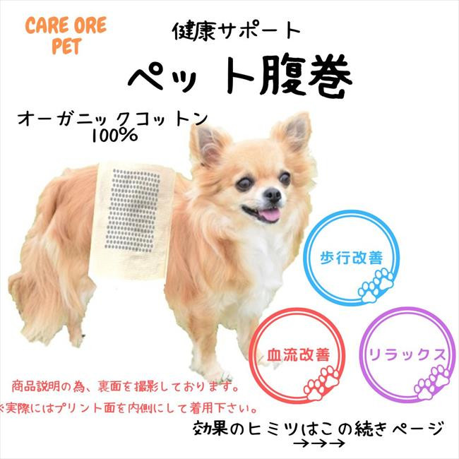 【ペットケア　シリーズ】犬猫用品　介護ペット　シニアペット　歩行改善　夜鳴き軽減　腹巻　オーガニックコットン　日本製 Mサイズ