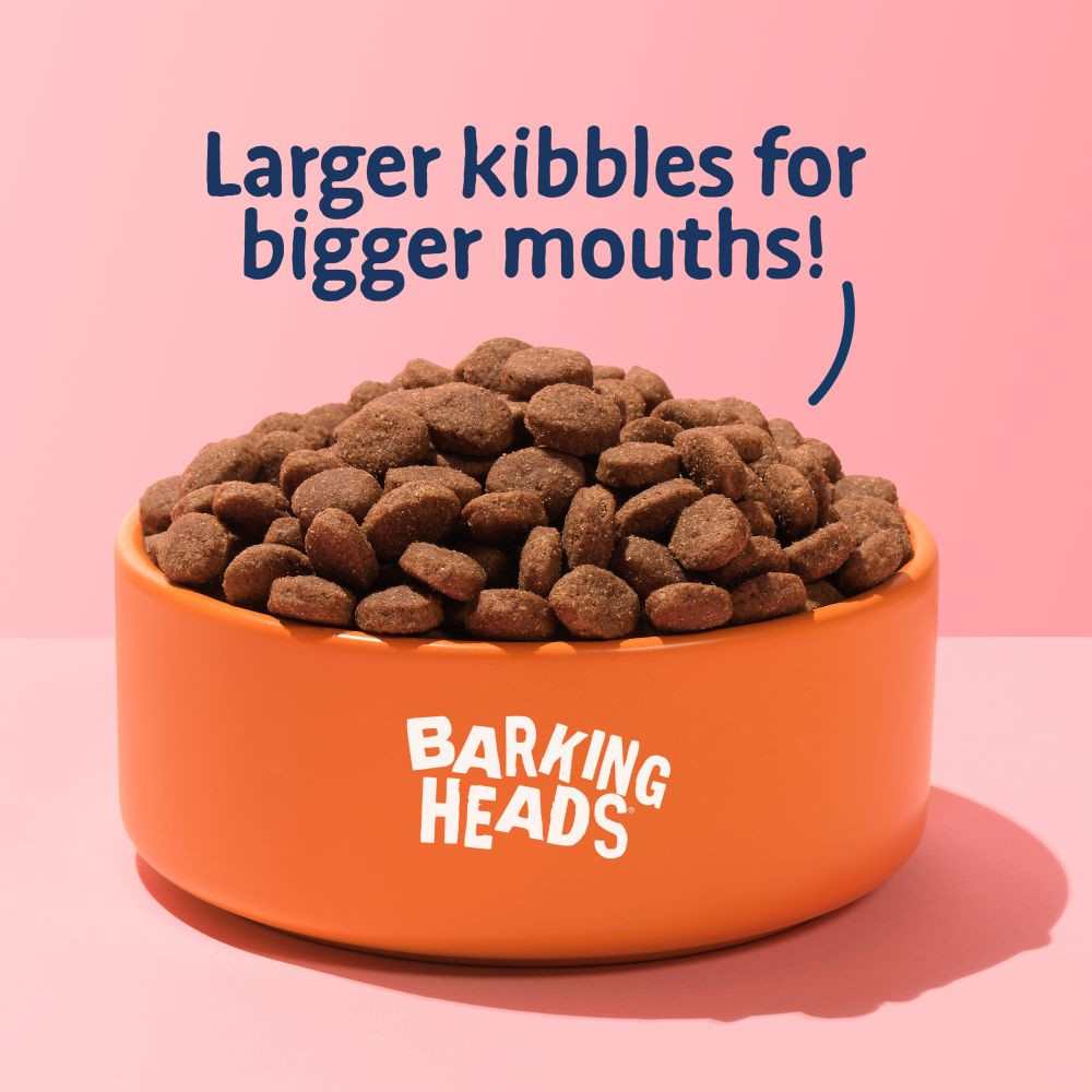 【大型犬用】 BARKING HEADS バーキングヘッズ ボウル リッキン グッドネス チキン ドライドッグフード 大型犬用 12kg