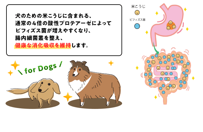 【全年齢犬用】犬用サプリメント 犬のための米こうじ 40g