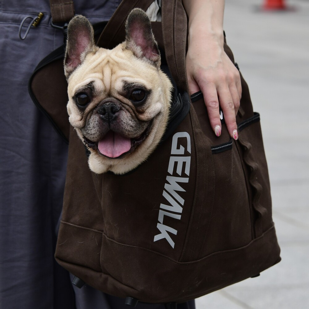 GW 2Way Cotton Carry Tote bag　【フリーサイズ】  犬  GEWALK    バッグ