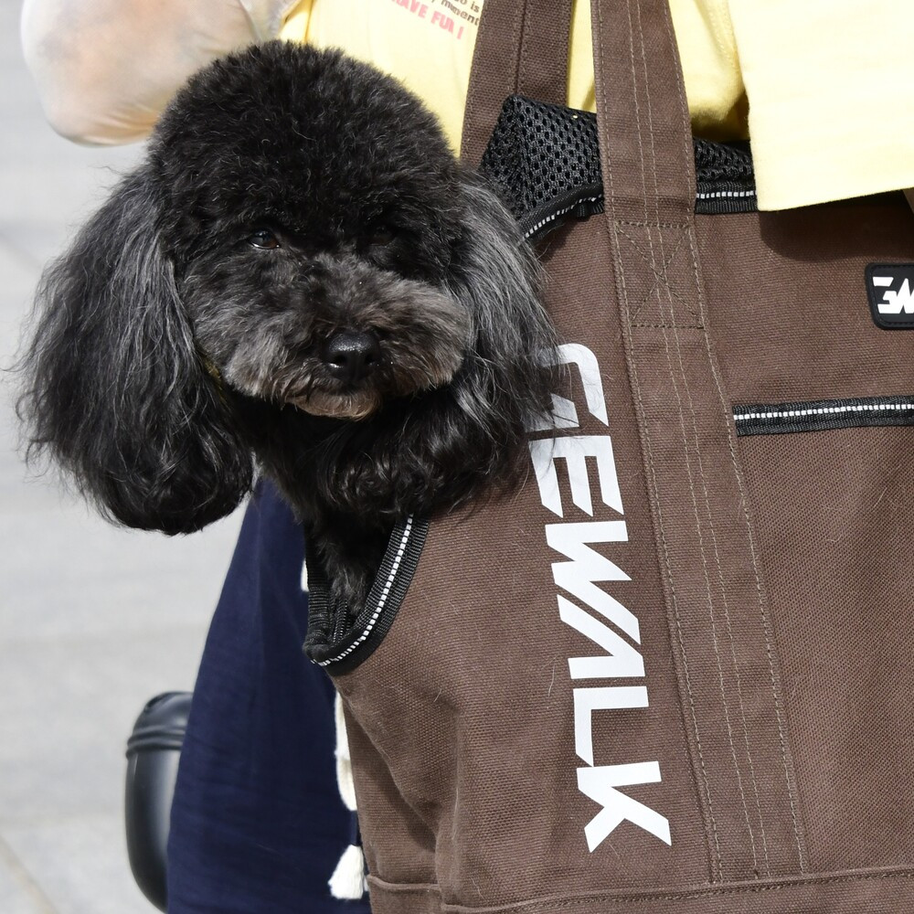 GW 2Way Cotton Carry Tote bag　【フリーサイズ】  犬  GEWALK    バッグ