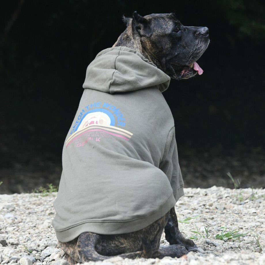 HORIZON HOODIE　【4XL】  犬  GEWALK    ジャケット