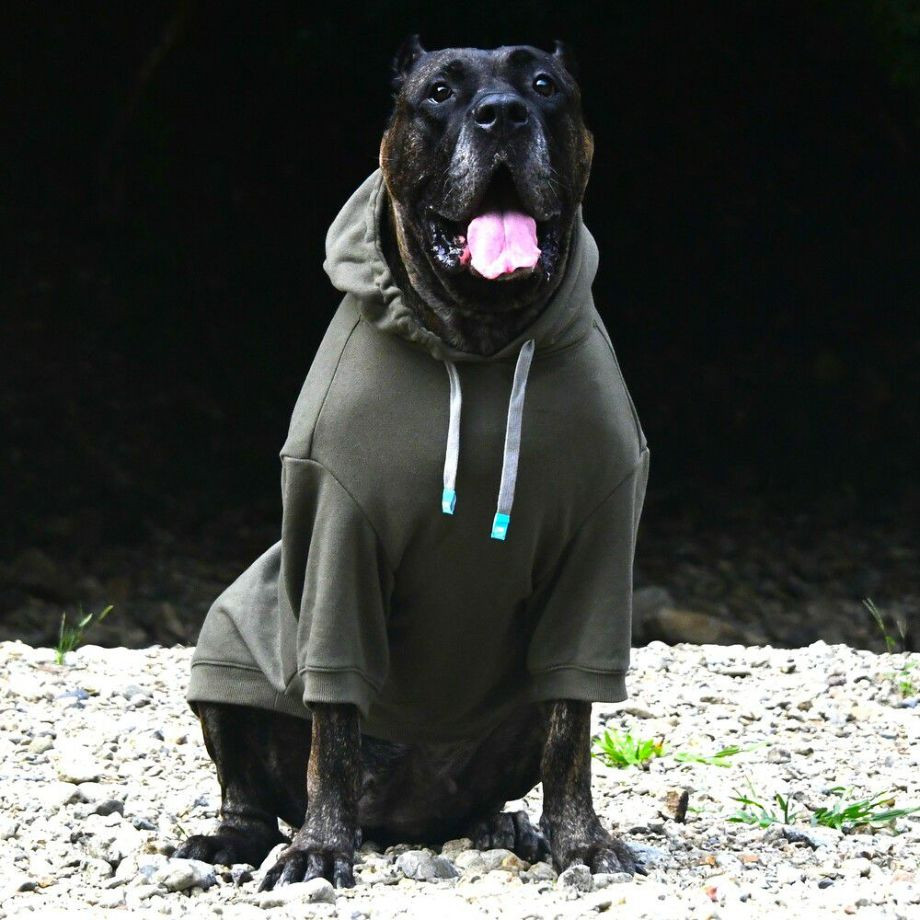 HORIZON HOODIE　【4XL】  犬  GEWALK    ジャケット