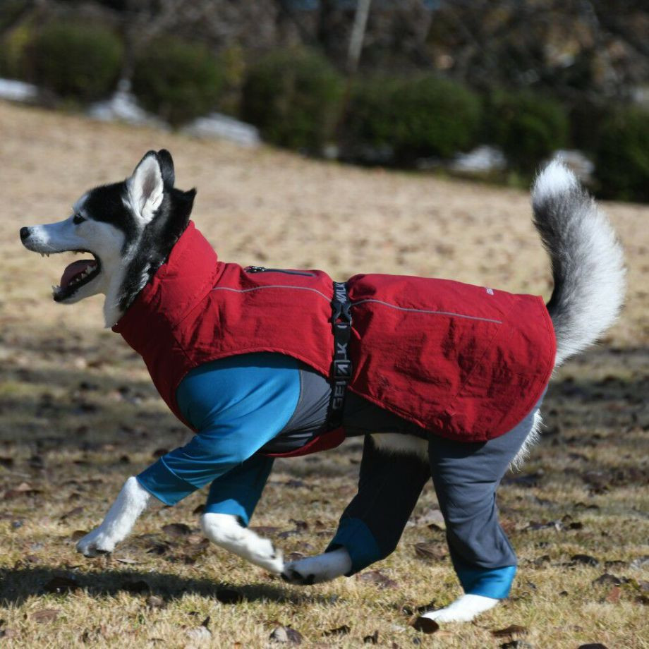 光電子　ロンパース【XL】 GEWALK  ジウォーク　犬　ロンパース