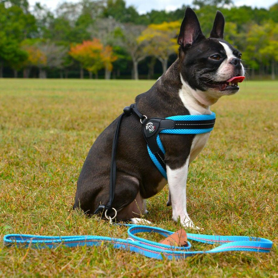 リベルタ　ソフトメッシュ　パステル【3号】  犬猫用  TRE PONTI  トレポンティ  ハーネス