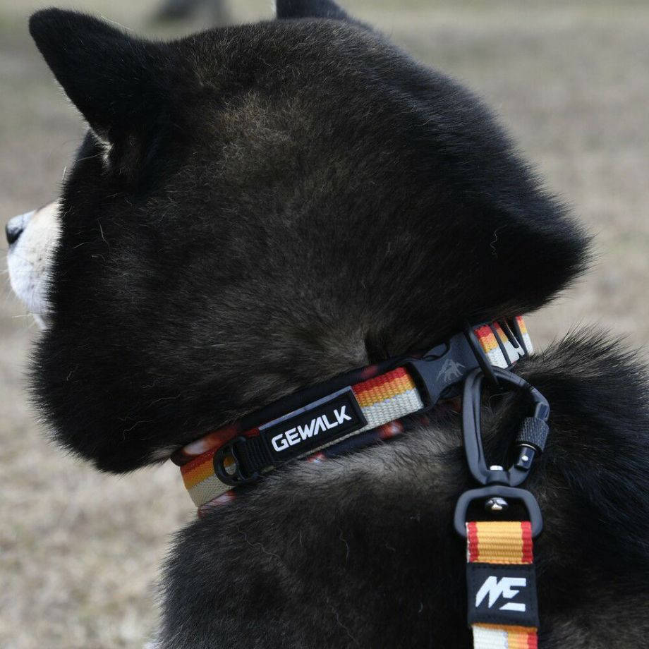 LGE103 コンフォタブルカラー　エコ【3.5号 4号】首輪  犬  GEWALK  ジウォーク  首輪