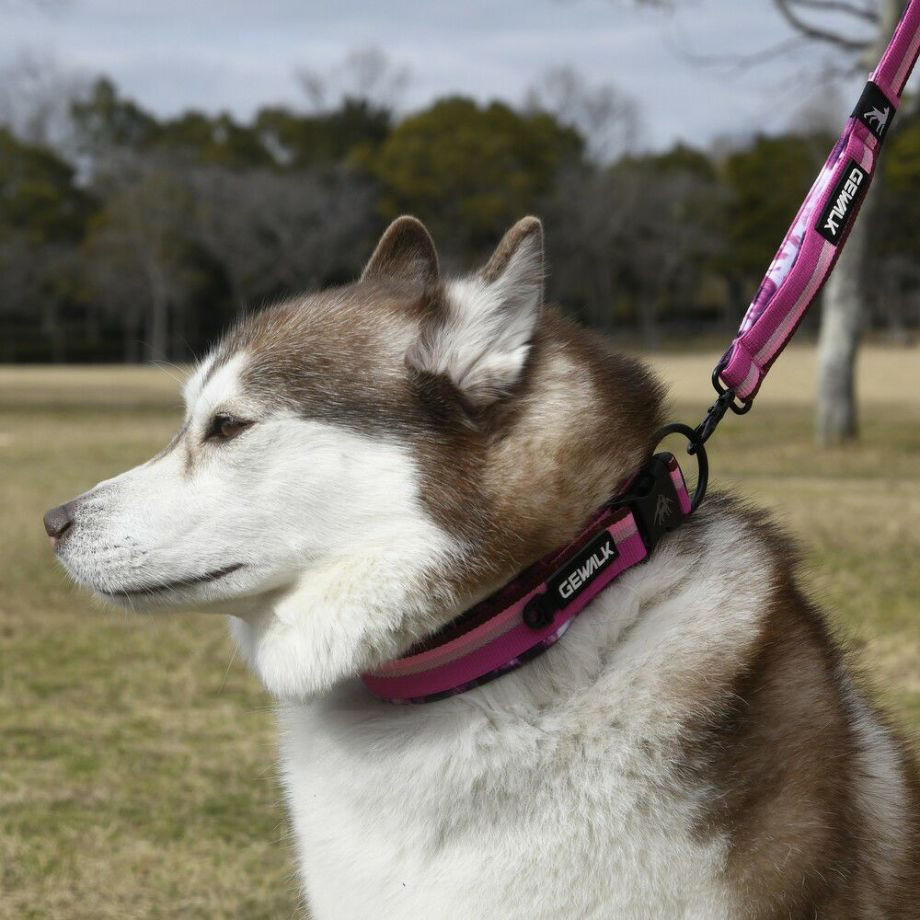 LGE103 コンフォタブルカラー　エコ【4.5号 5号】首輪  犬  GEWALK  ジウォーク  首輪