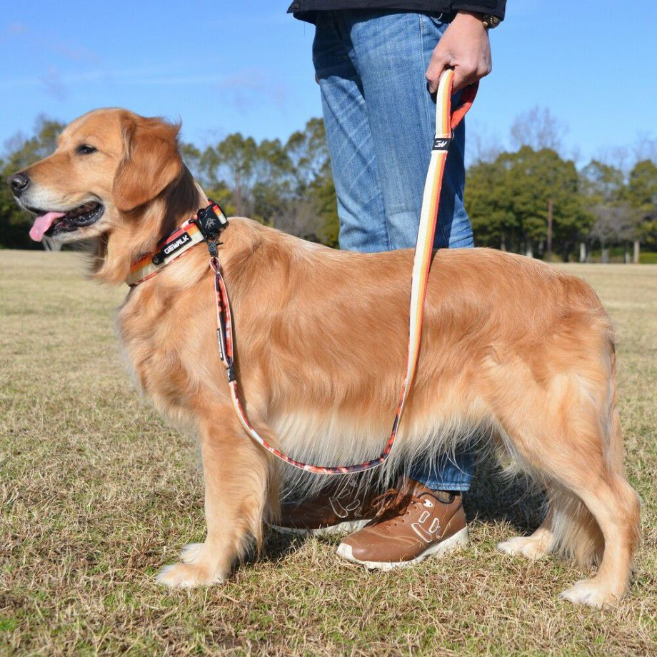 LGE103 コンフォタブルカラー　エコ【4.5号 5号】首輪  犬  GEWALK  ジウォーク  首輪