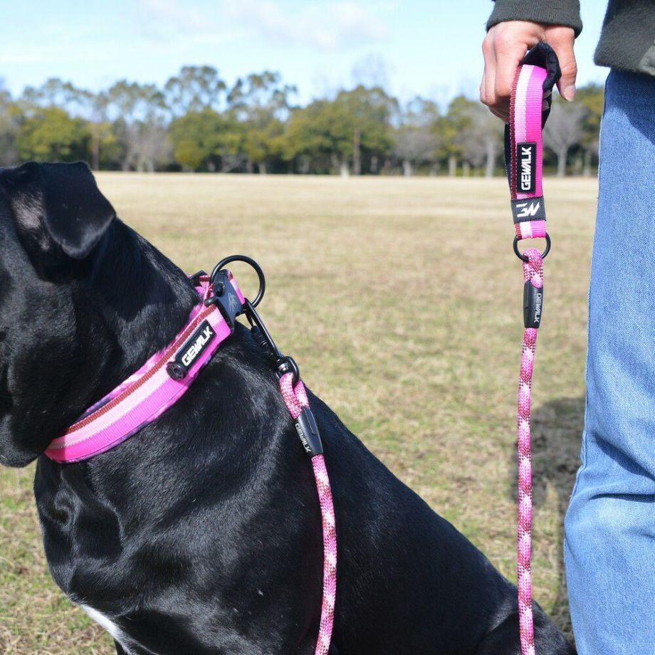 LGE103 コンフォタブルカラー　エコ【4.5号 5号】首輪  犬  GEWALK  ジウォーク  首輪