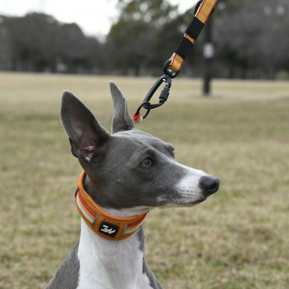 LGE104　ハーフチョークカラー　エコ【2.5号 3号】首輪  犬  GEWALK  ジウォーク  首輪