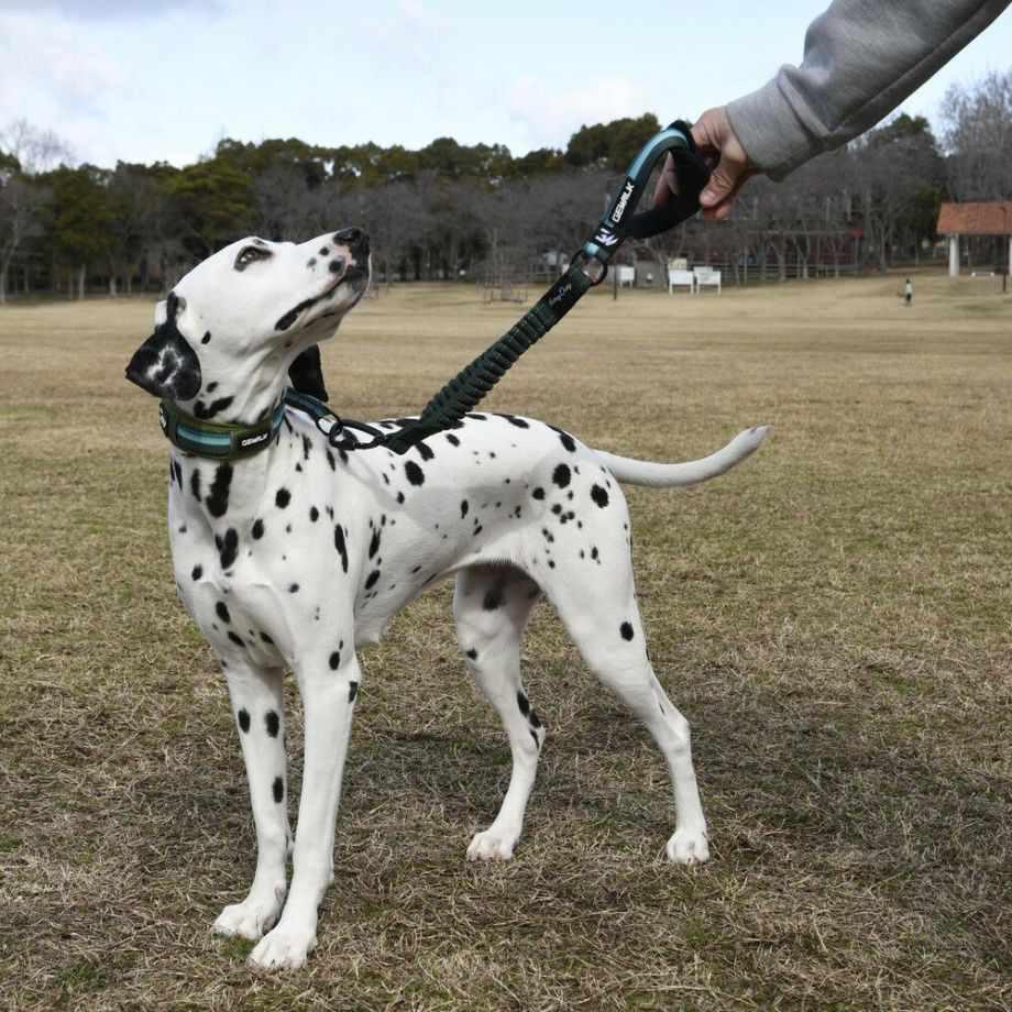 LGE104　ハーフチョークカラー　エコ【2.5号 3号】首輪  犬  GEWALK  ジウォーク  首輪