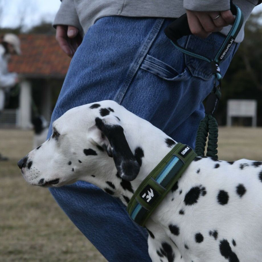 LGE104　ハーフチョークカラー　エコ【2.5号 3号】首輪  犬  GEWALK  ジウォーク  首輪