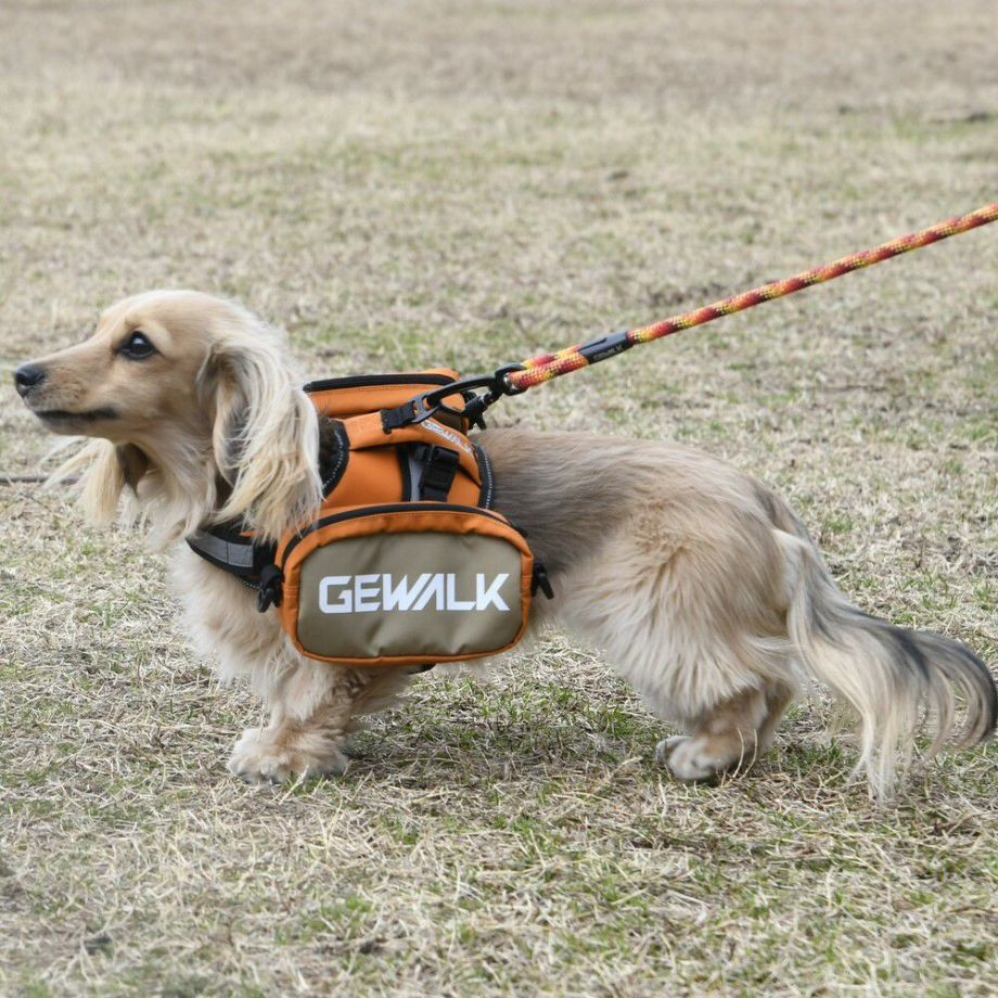 LGE124　サドルバッグエコ【S】  犬  GEWALK  ジウォーク  サドルバッグ