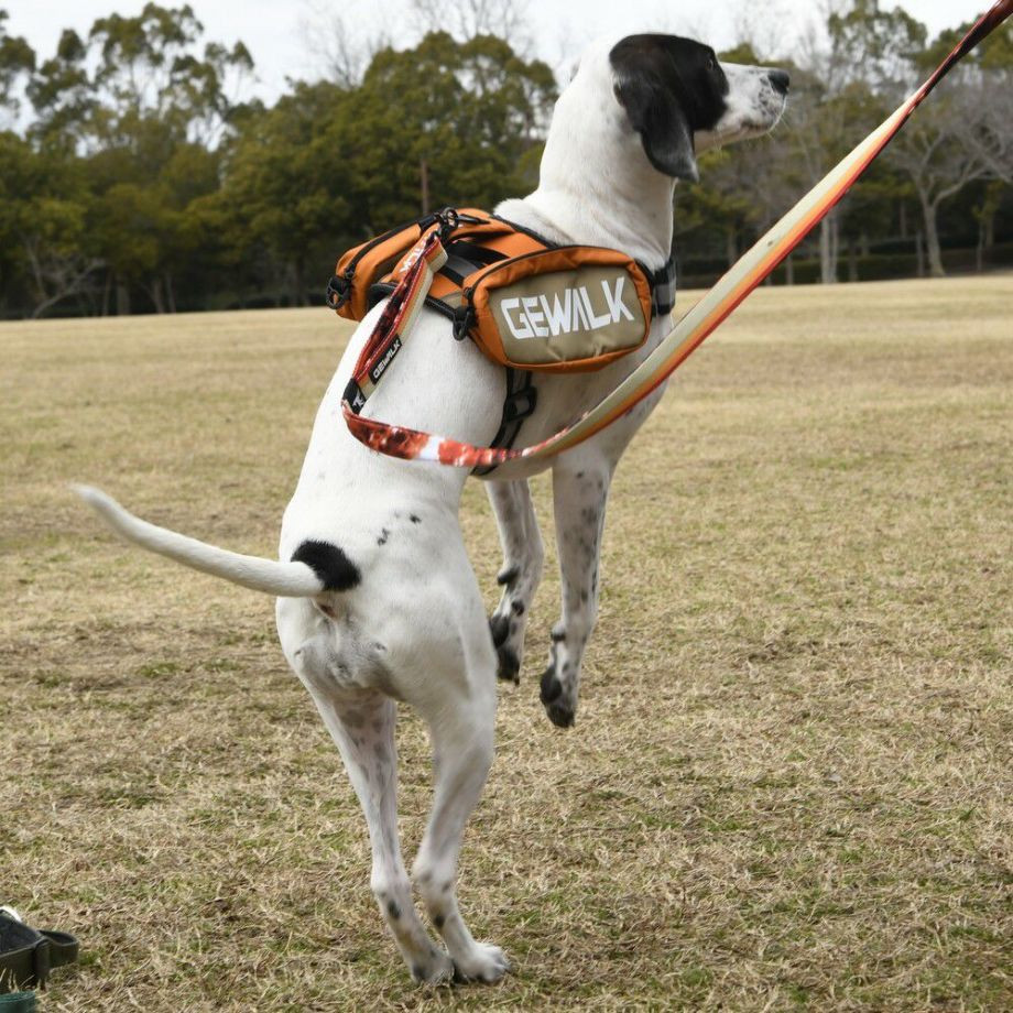 LGE124　サドルバッグエコ【M】  犬  GEWALK  ジウォーク  サドルバッグ