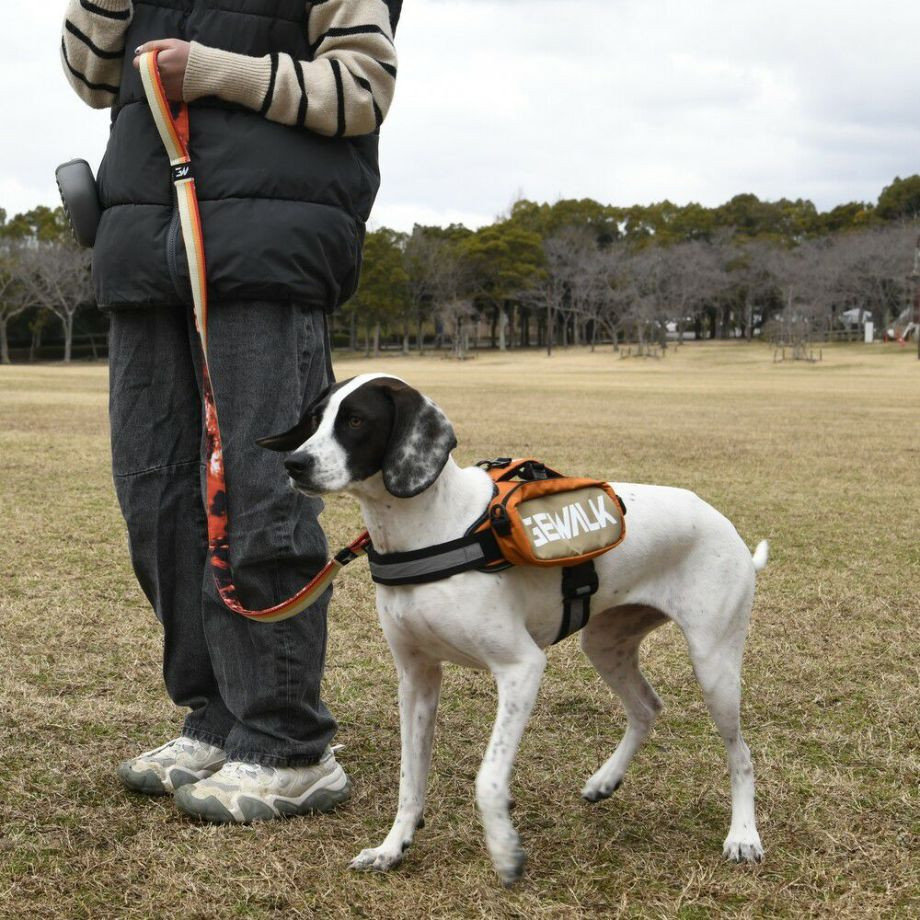 LGE124　サドルバッグエコ【M】  犬  GEWALK  ジウォーク  サドルバッグ