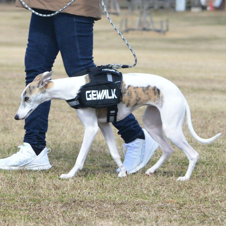 LGE124　サドルバッグエコ【M】  犬  GEWALK  ジウォーク  サドルバッグ