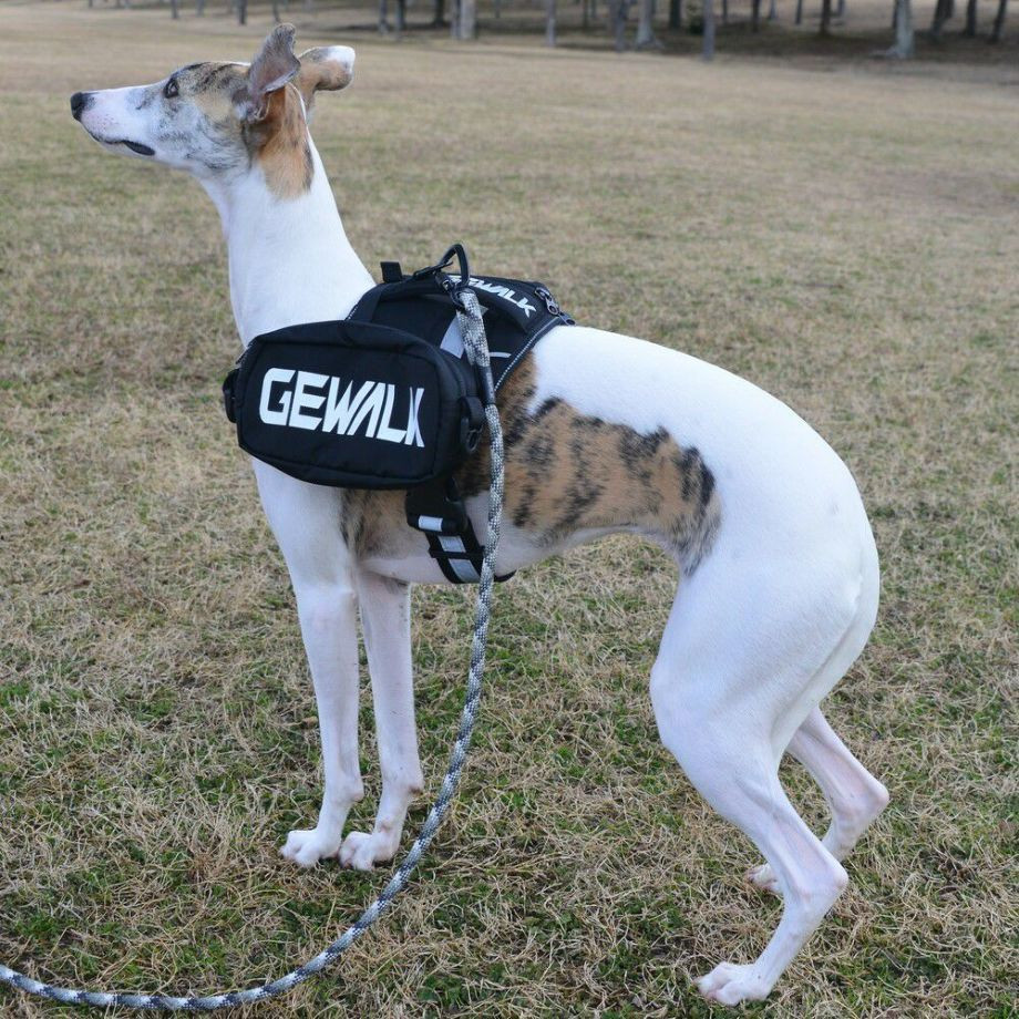 LGE124　サドルバッグエコ【M】  犬  GEWALK  ジウォーク  サドルバッグ