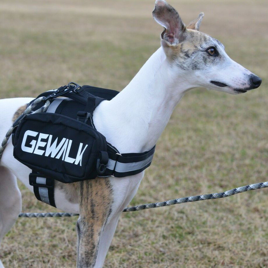 LGE124　サドルバッグエコ【M】  犬  GEWALK  ジウォーク  サドルバッグ