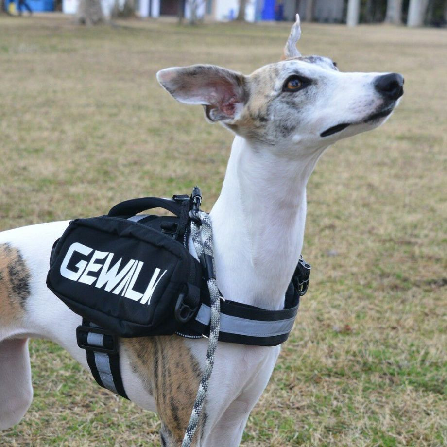 LGE124　サドルバッグエコ【M】  犬  GEWALK  ジウォーク  サドルバッグ