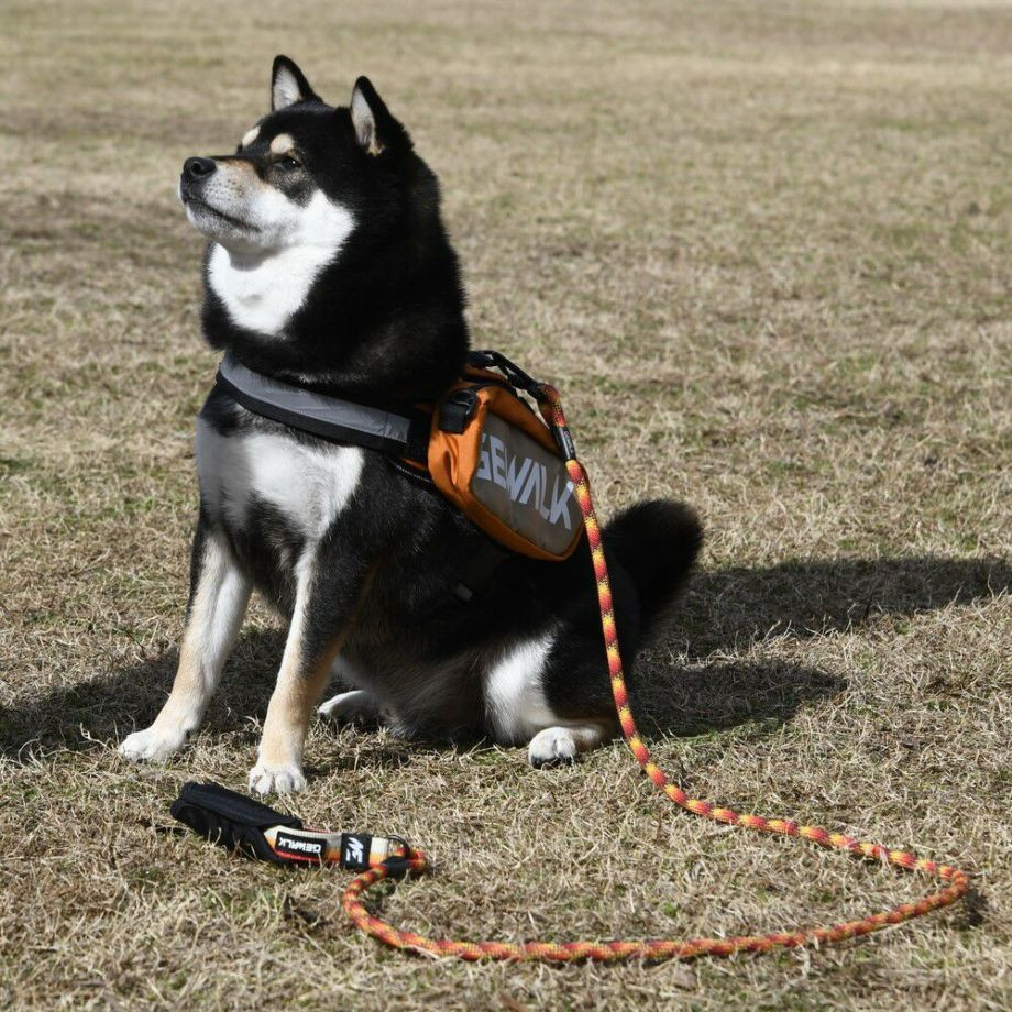 LGE124　サドルバッグエコ【L】  犬  GEWALK  ジウォーク  サドルバッグ