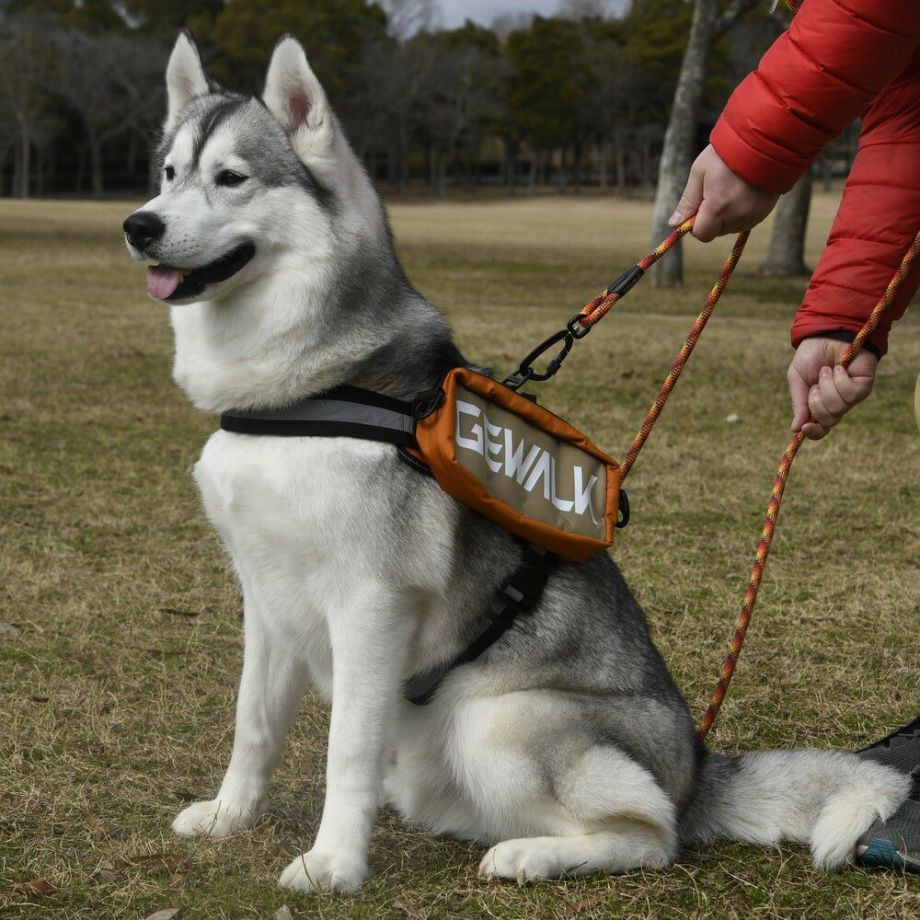 LGE124　サドルバッグエコ【L】  犬  GEWALK  ジウォーク  サドルバッグ