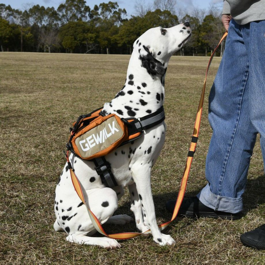 LGE124　サドルバッグエコ【L】  犬  GEWALK  ジウォーク  サドルバッグ