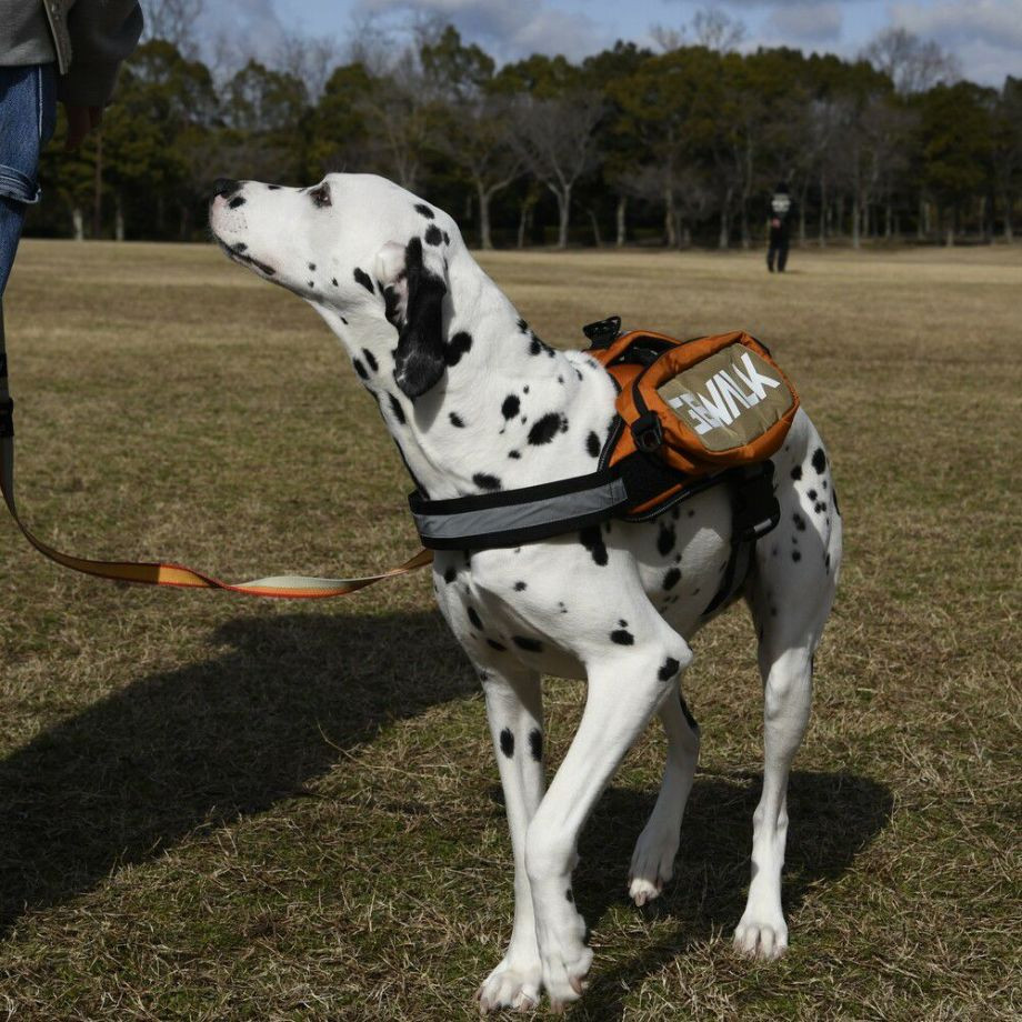 LGE124　サドルバッグエコ【L】  犬  GEWALK  ジウォーク  サドルバッグ