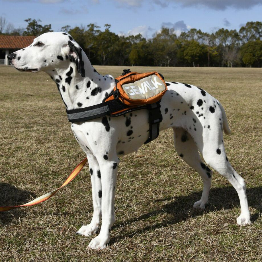 LGE124　サドルバッグエコ【L】  犬  GEWALK  ジウォーク  サドルバッグ