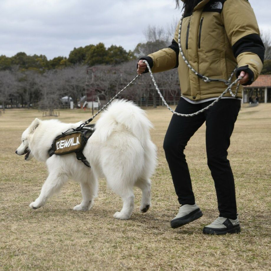 LGE124　サドルバッグエコ【L】  犬  GEWALK  ジウォーク  サドルバッグ