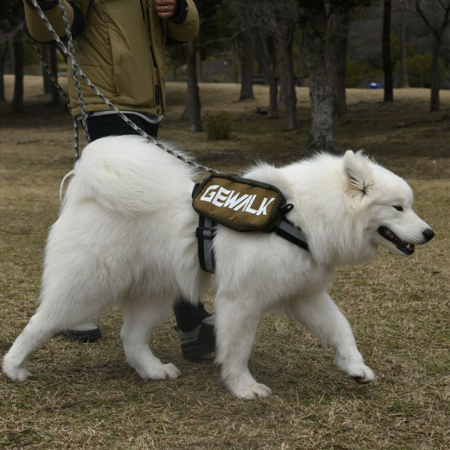 LGE124　サドルバッグエコ【L】  犬  GEWALK  ジウォーク  サドルバッグ