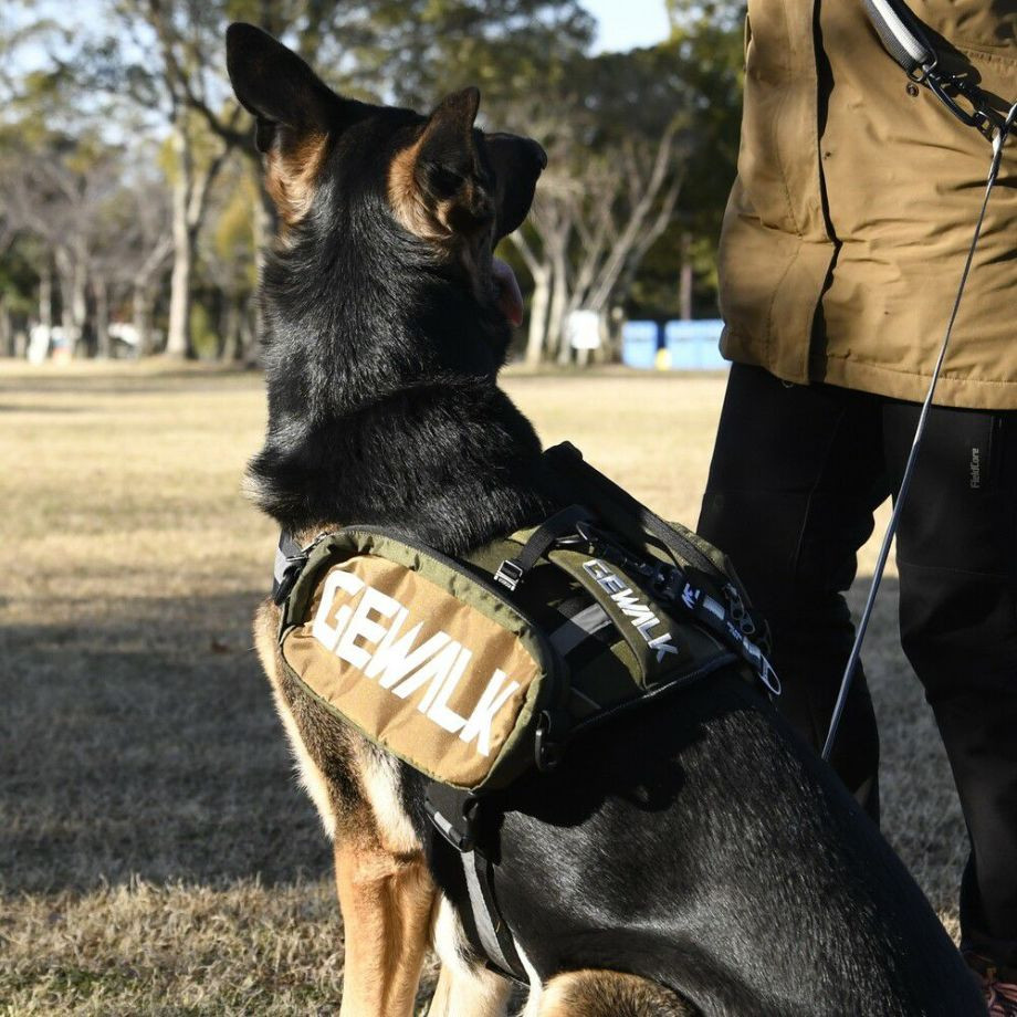 LGE124　サドルバッグエコ【XL】  犬  GEWALK  ジウォーク  サドルバッグ