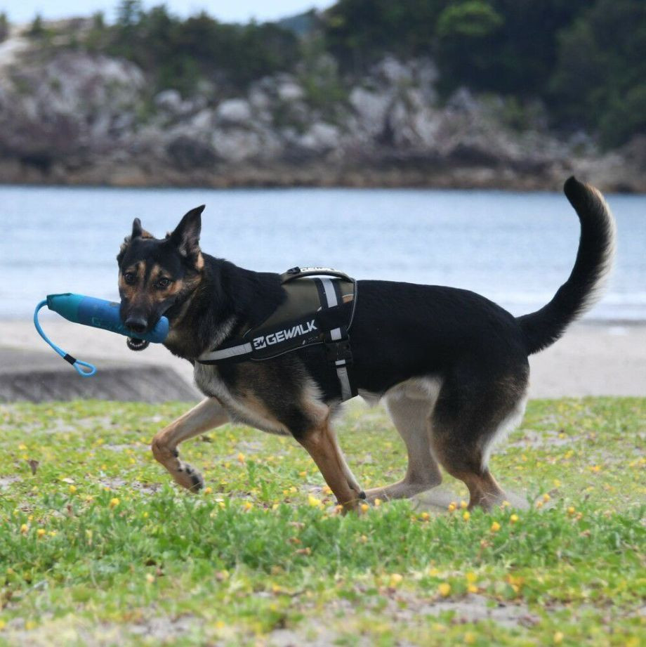 Ｚ－７　バイティング　フロート【S】おもちゃ  犬  GEWALK    おもちゃ