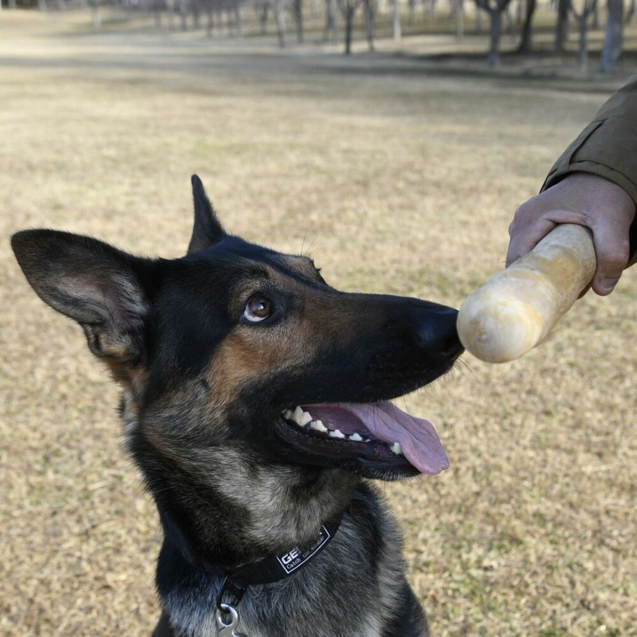 ドッグ　チュウ　スティック　コーヒー　ツリー【3XL】  犬  GEWALK  ジウォーク  コーヒーウッド