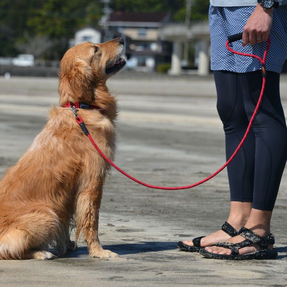 LGE305　カラーズオブネイチャーシリーズ 【L】リード  犬  GEWALK  ジウォーク  リード