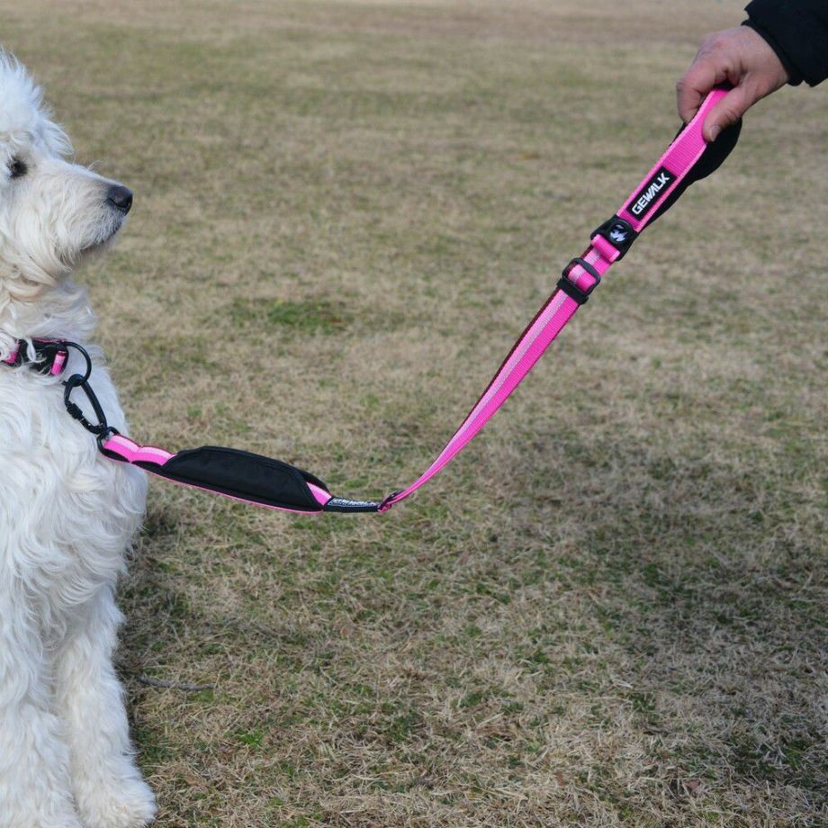 ＧＷ　アジャスタブル　リーシュ　エコ　65-100【L】リード  犬  GEWALK  ジウォーク  リード