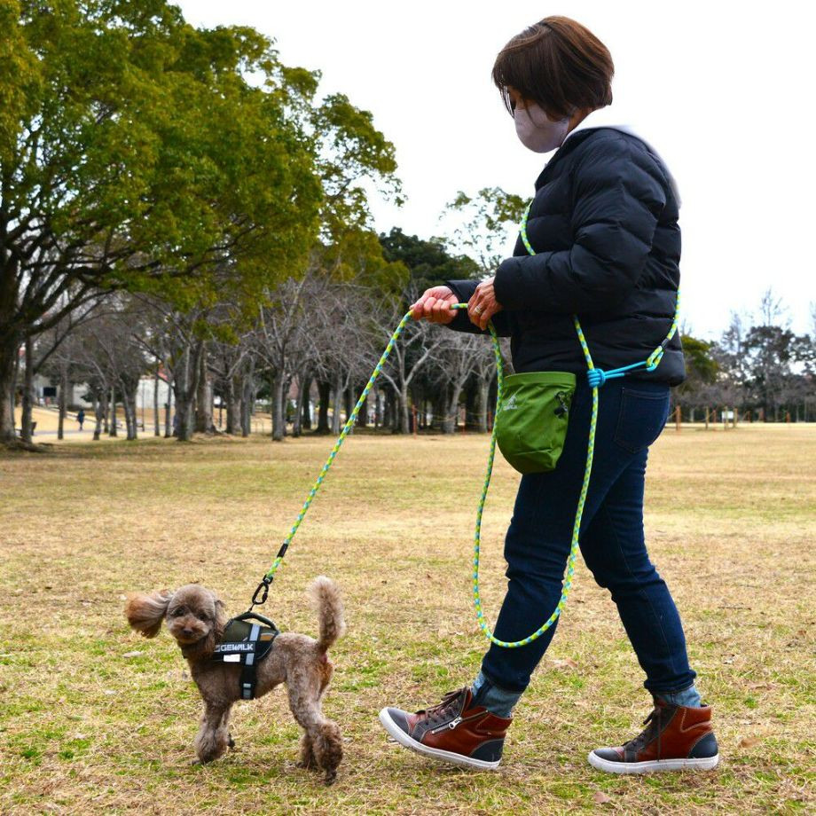 ＧＷ　マルチ　ファンクション　ロープリーシュ　エコ　300【M】リード  犬  GEWALK  ジウォーク  リード