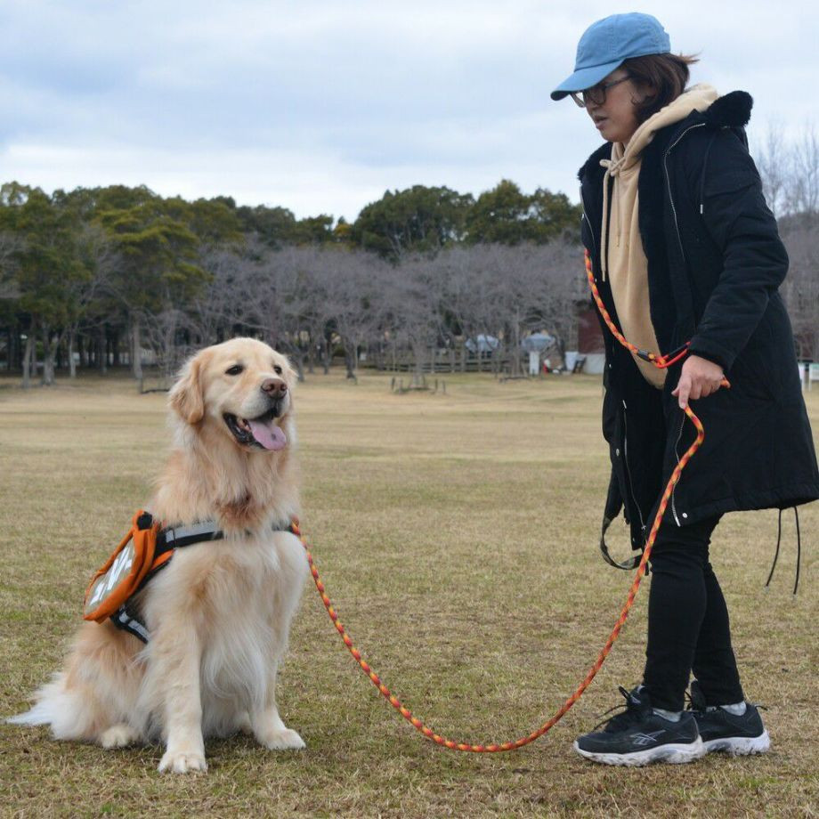 ＧＷ　マルチ　ファンクション　ロープリーシュ　エコ　300【L】リード  犬  GEWALK  ジウォーク  リード