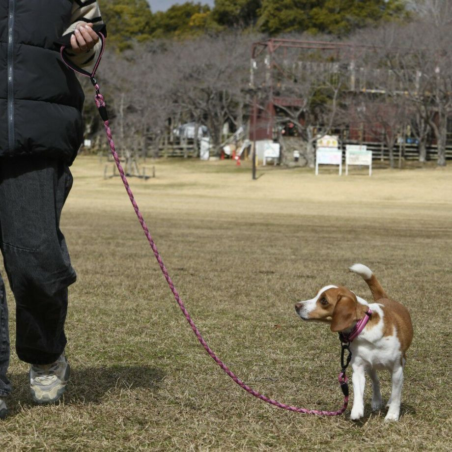 ＧＷ　Ｐーハンドル　ロープリーシュ　エコ　150【M】リード  犬  GEWALK  ジウォーク  リード