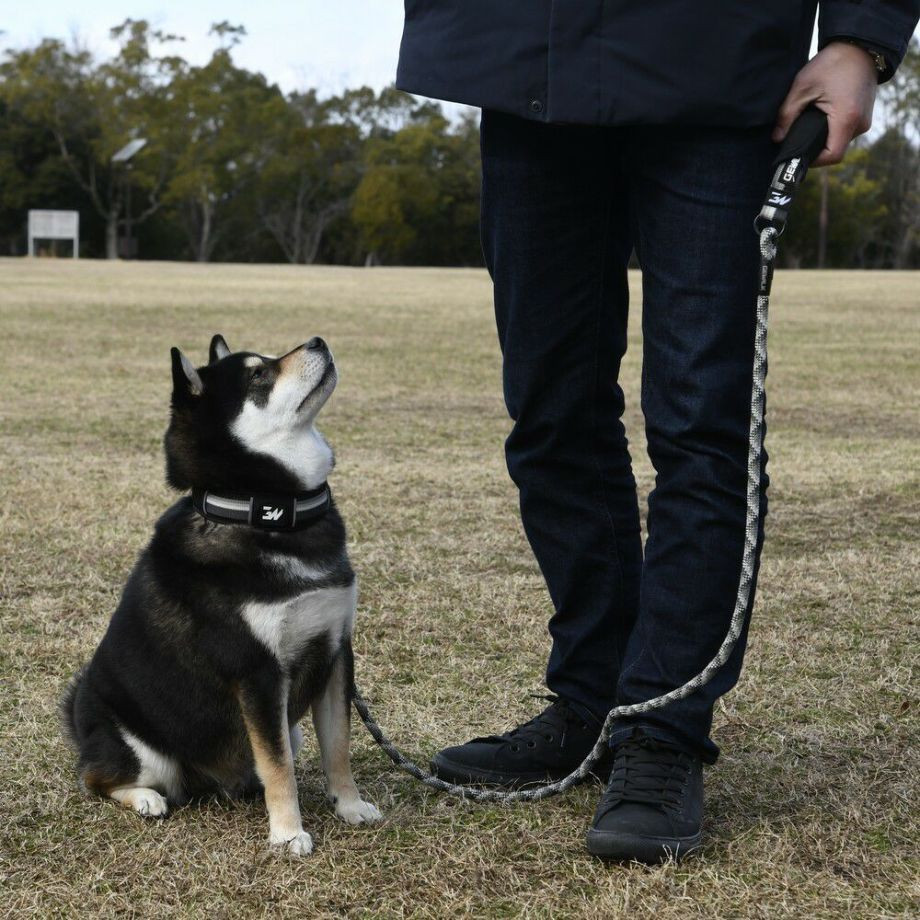 ＧＷ　Ｐーハンドル　ロープリーシュ　エコ　150【M】リード  犬  GEWALK  ジウォーク  リード