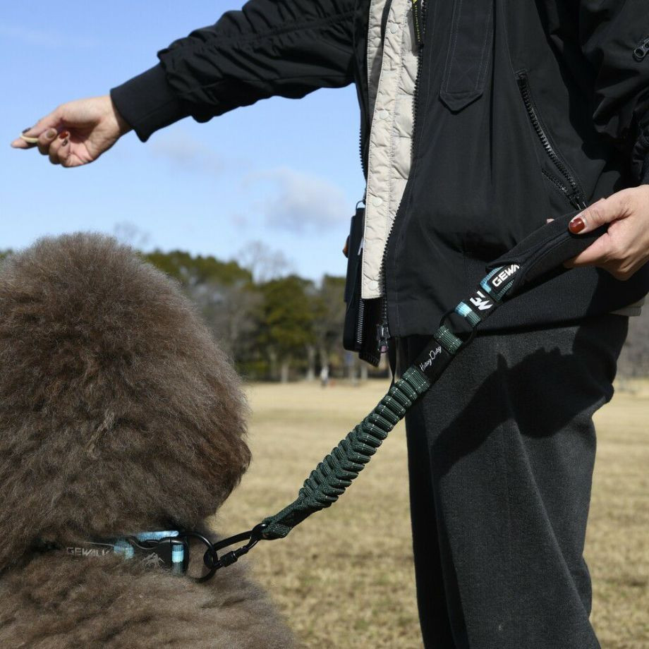 ＧＷ　ヘビー　デューティー　ストレッチ　リーシュ 48【L】リード  犬  GEWALK  ジウォーク  リード