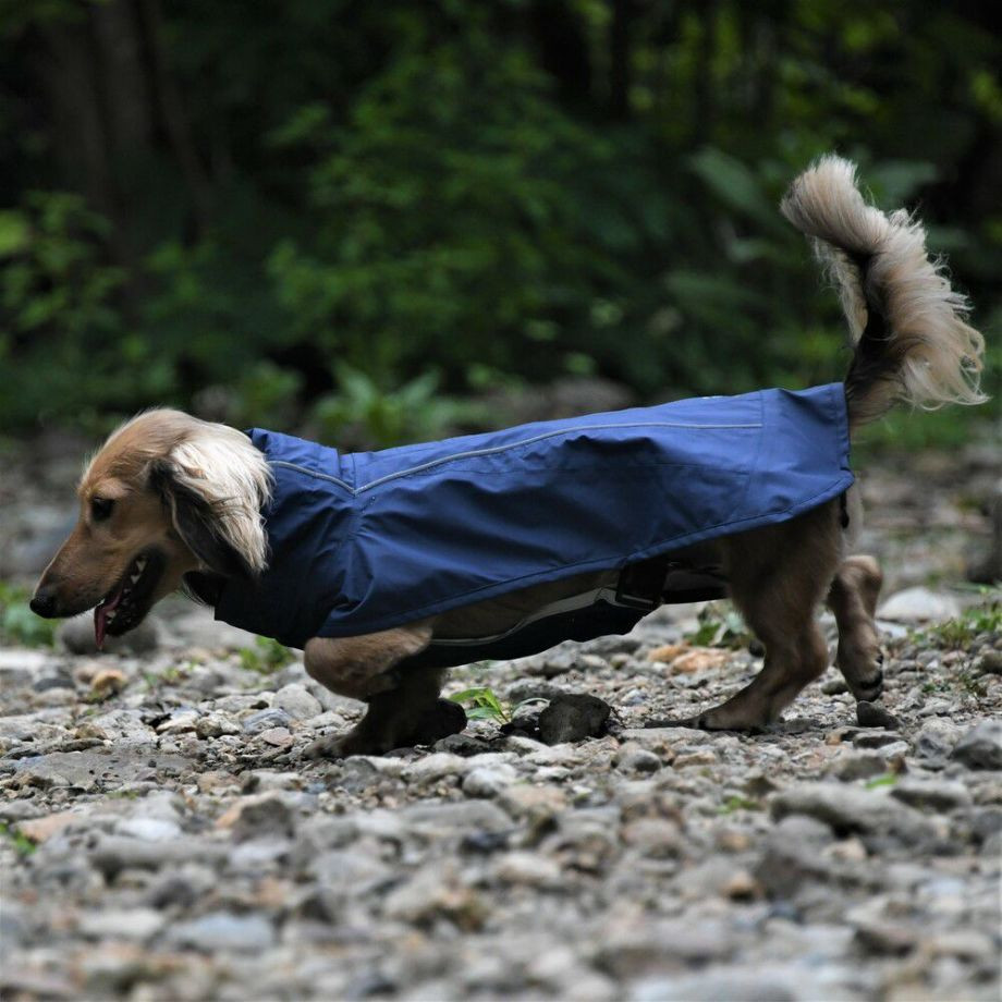 プロテクト レインコート【DM BS BM　ダックスフンド/ブルドッグ専用サイズ】  犬  GEWALK    レインコート