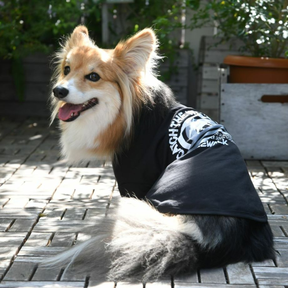 グラフィックＴシャツロゴ【CG】コーギー専用サイズ  犬  GEWALK  ジウォーク  Tシャツ・カットソー